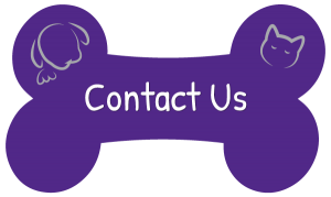 Contact Us - Animal Hospital